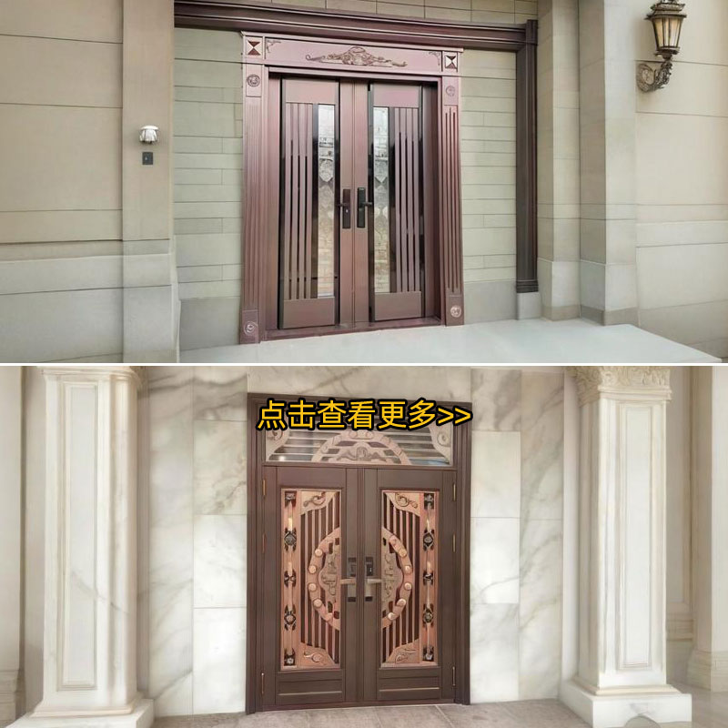 双开豪华门入户门